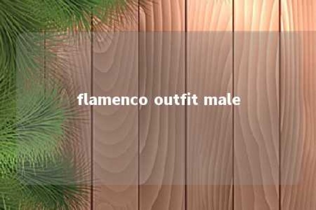 flamenco outfit male 